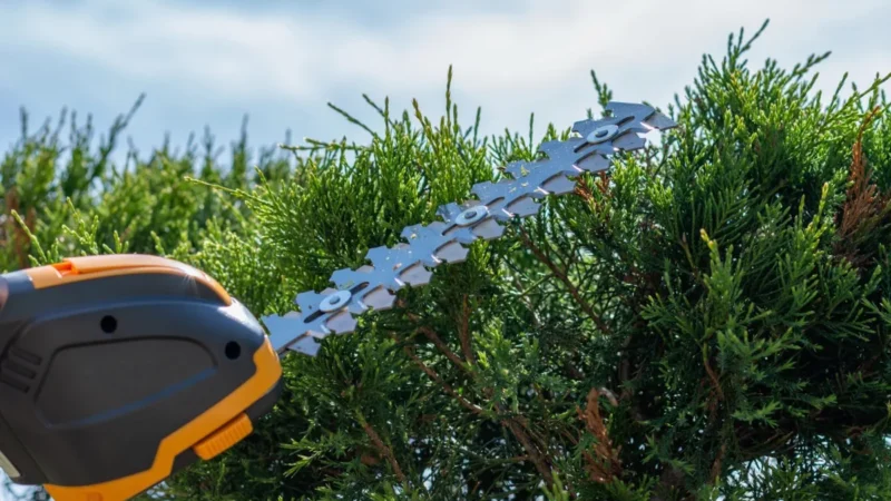 Akku-Heckenschere im Einsatz an einer Hecke